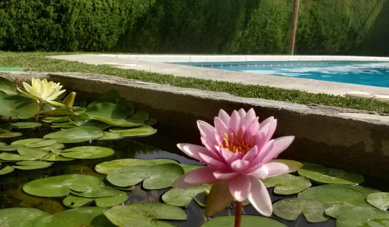 Fuente De La Higuera Holiday home *